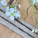 Incienso Copal & Palo Santo Banjara