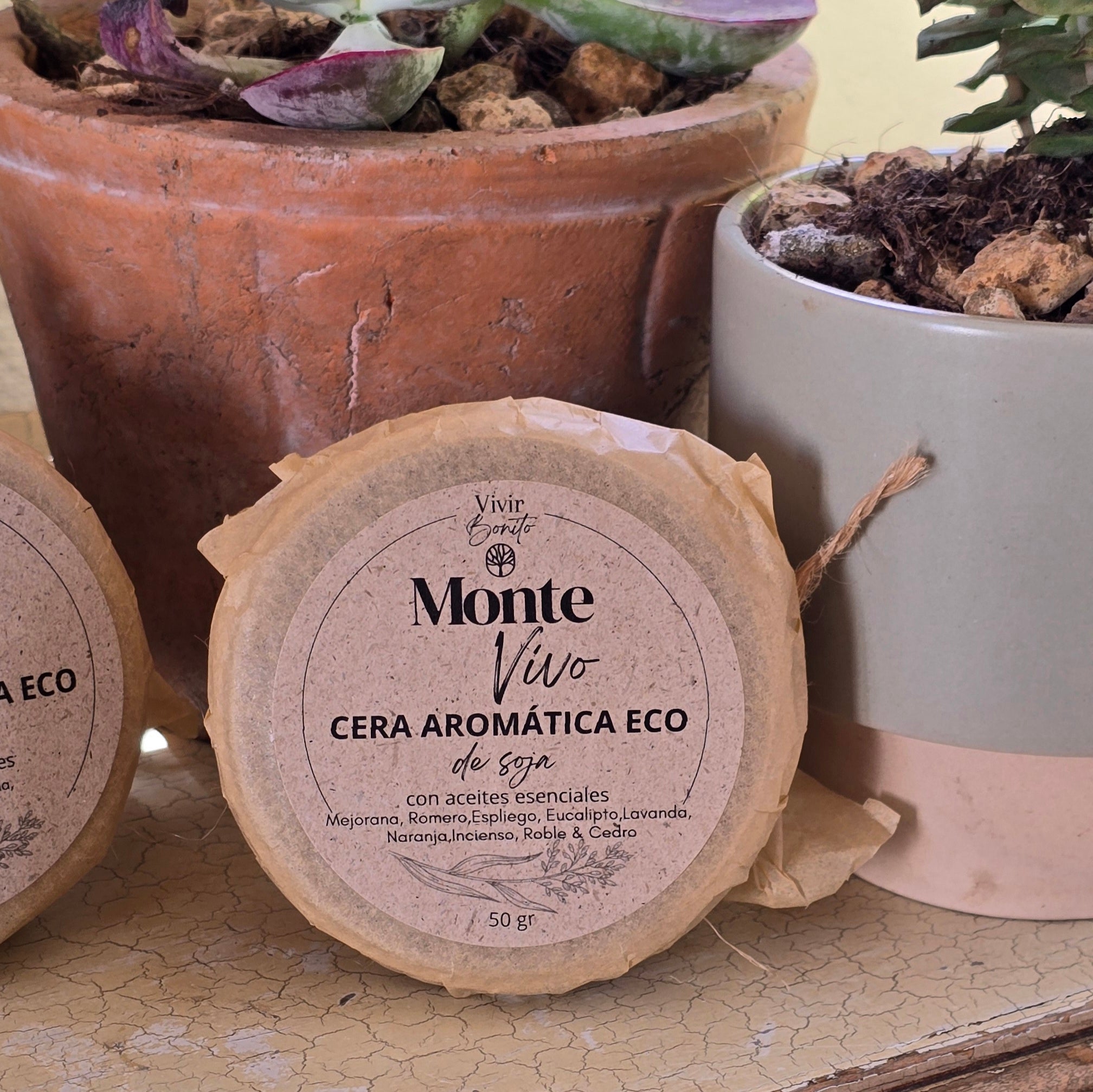 Cera aromática de soja  Eco · Monte Vivo · 50 gr