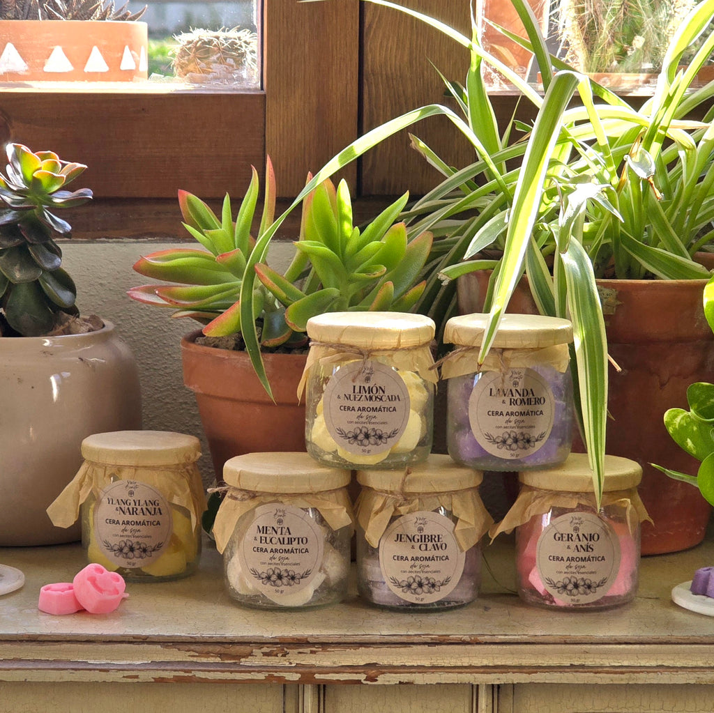 Cera aromática de soja · Geranio & Anís · 50 gr