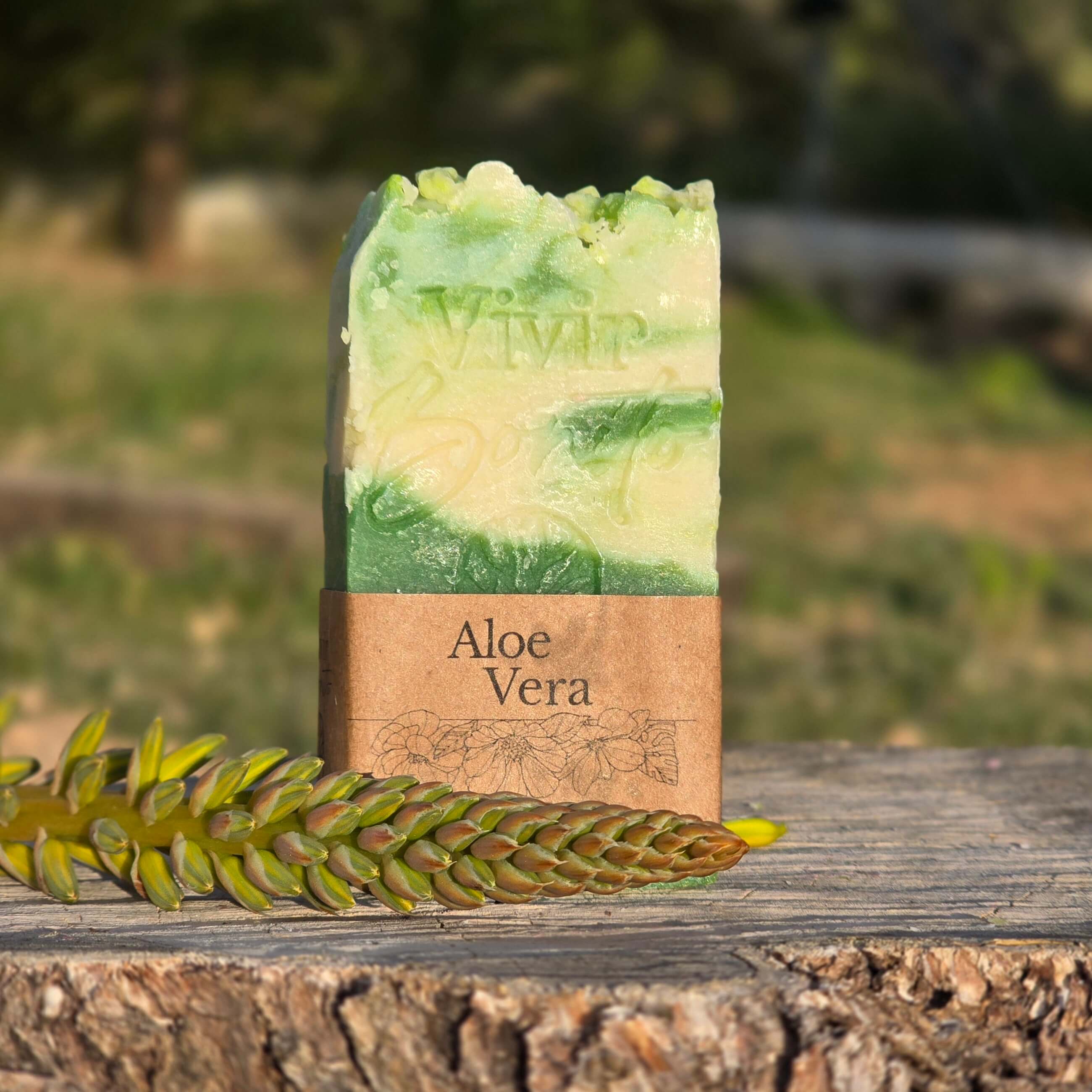 Jabón Natural Artesano · Aloe Vera · 100 gr